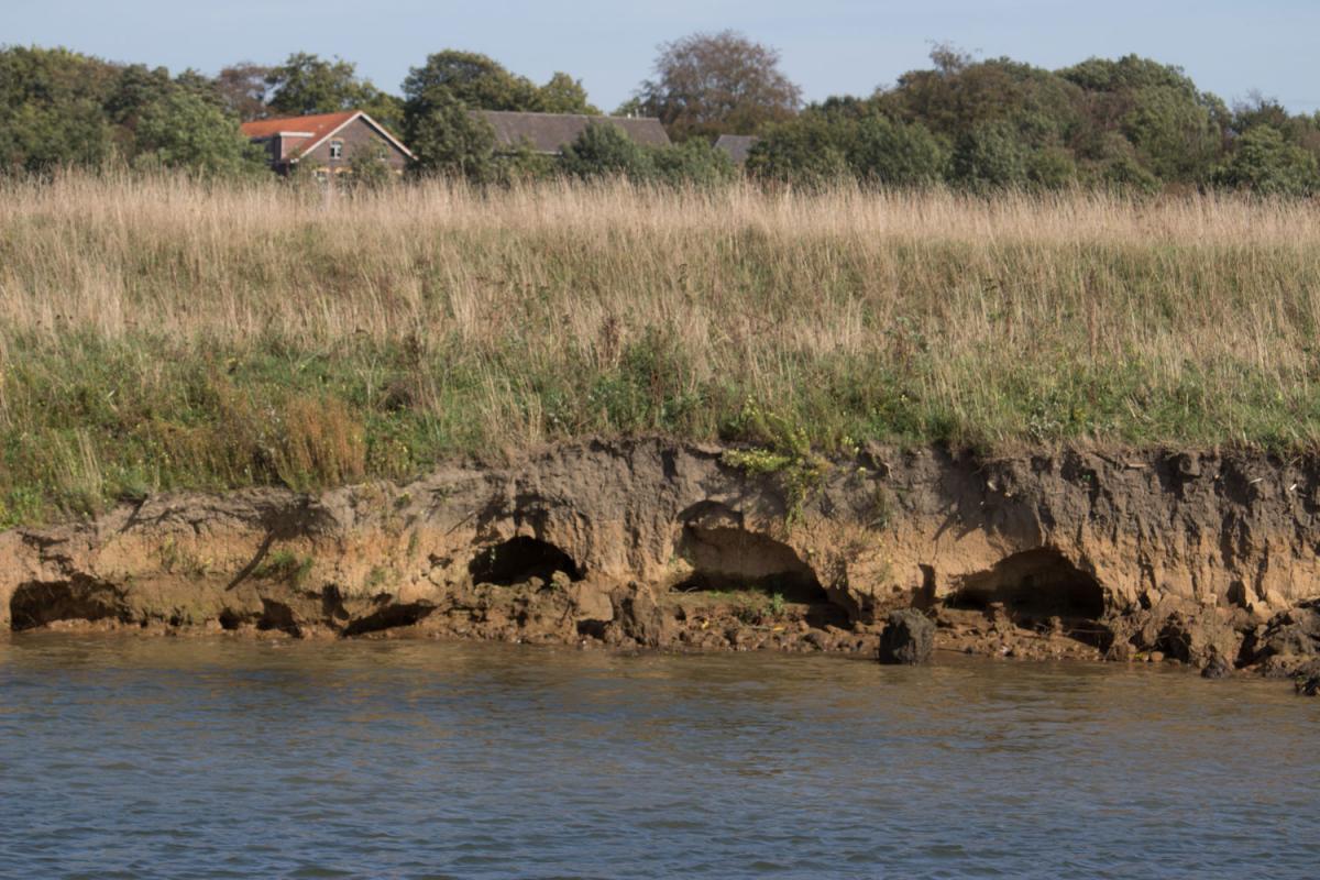 Zurück zum natürlichen Ufer – Auf Wasserstrassen durch Europa